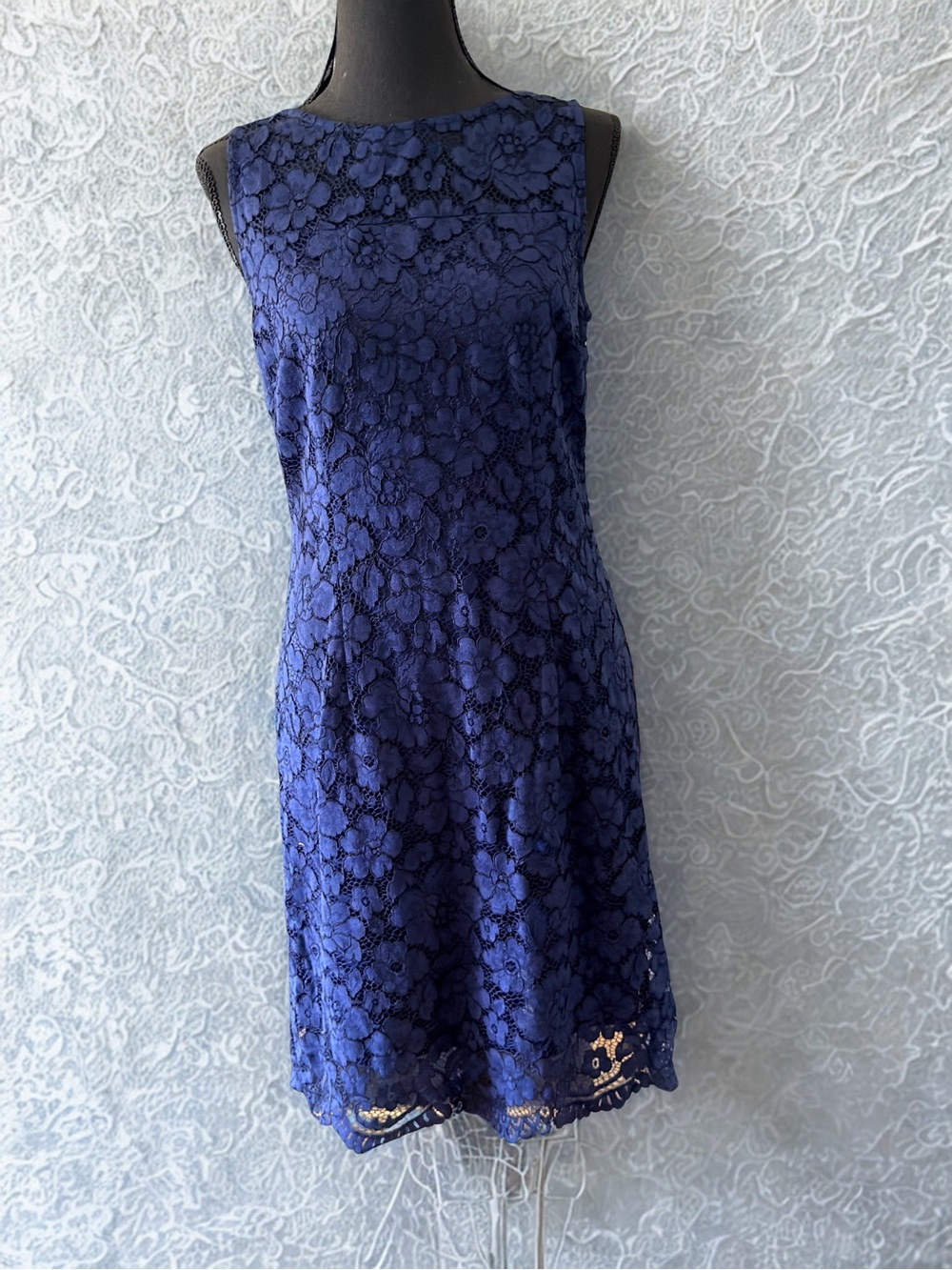 Lark & Ro Navy Lace Midi Dress